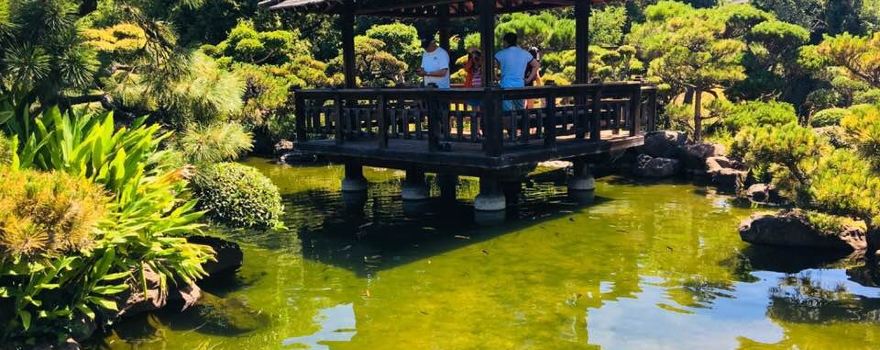 Japanese Gardens