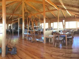 The Alpaca Loom Coffee Shop and Weaving Studio