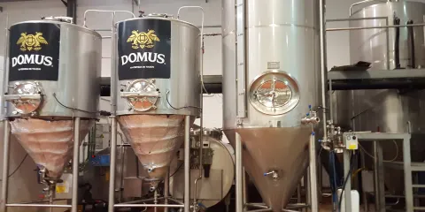 Cerveza Domus