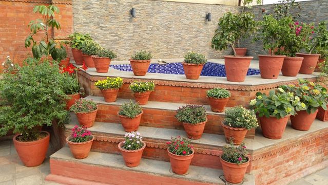 Himalayan Healers of Nepal