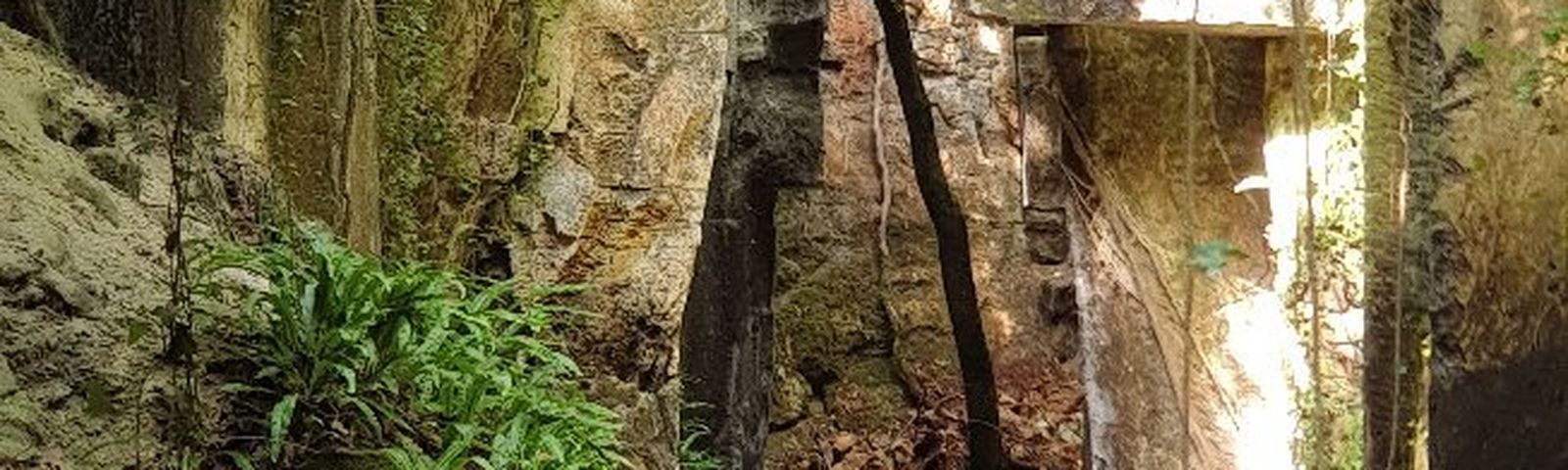 PlassayExcursions d'une journée