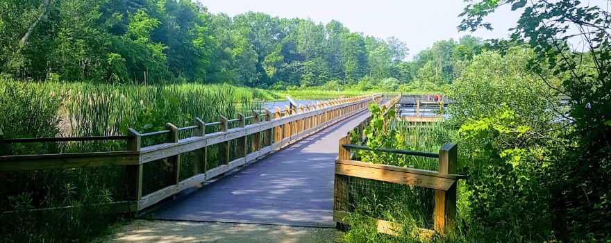 Cannon Township