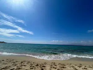 Hawaii Beach