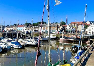 Anstruther Harbour