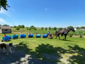 Old Windmill Farm