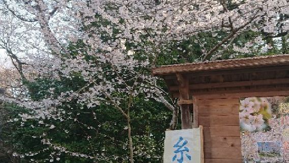 Sakuragawa Isobe Inamura Shrine