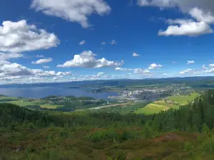 Oftenåsen
