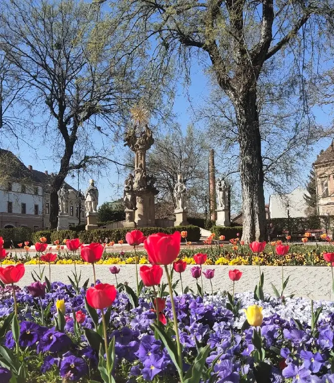 Nagykanizsai