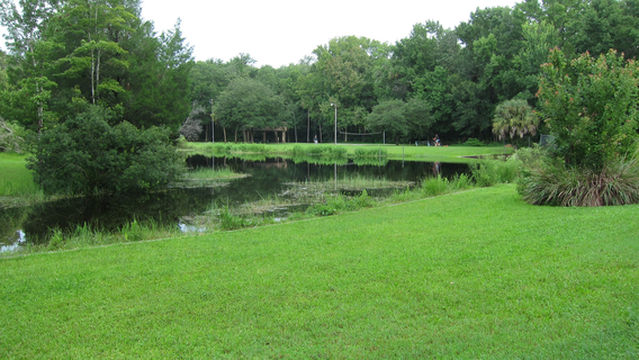 Bluebird Springs Park