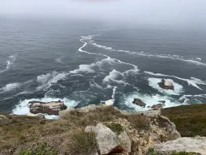 Point Reyes National Seashore