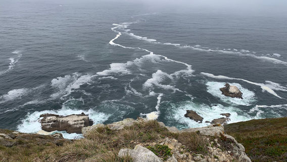Point Reyes National Seashore