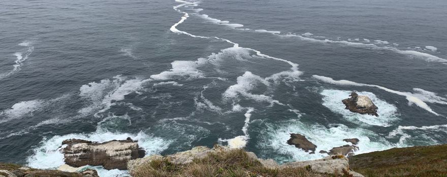 Point Reyes National Seashore