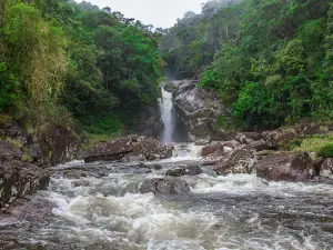 Sri Padaya-Kuruwita Erathna Trail Start