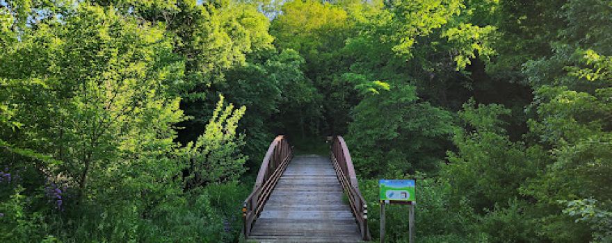Nelson Park