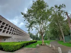 Museo de Antropología de Xalapa
