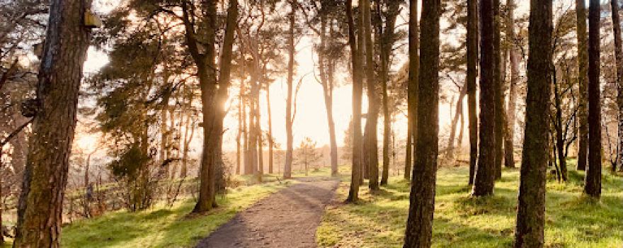 Loch Leven National Nature Reserve