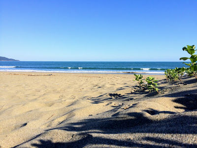 Irino Coast