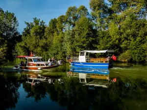 Bartın Stream