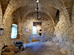 Kostel Castle