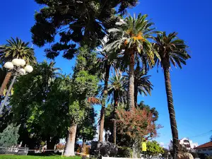 Plaza De Armas