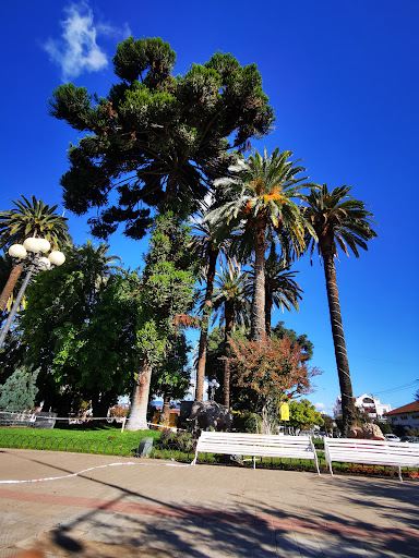 Plaza de Armas de San Vicente Tagua tagua