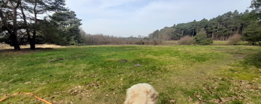 Heilsmoor