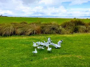 Kuranui Bay Reserve