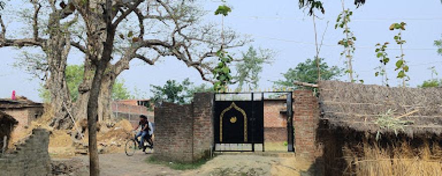 Sunder tola S & Z