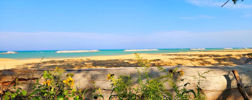 North Dunes Nature Preserve