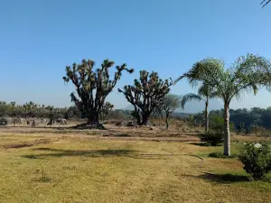 Park Ecoturistico "The Eagle"
