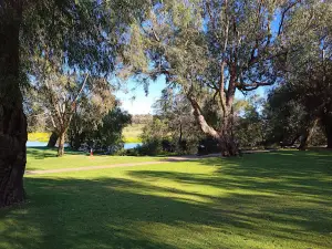 Yanchep Koala Boardwalk