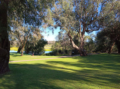 Yanchep Koala Boardwalk