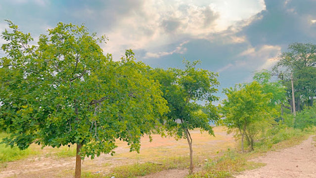 Shalivahana Nagar GHMC Park