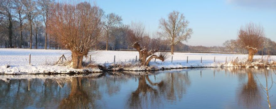 Amelisweerd
