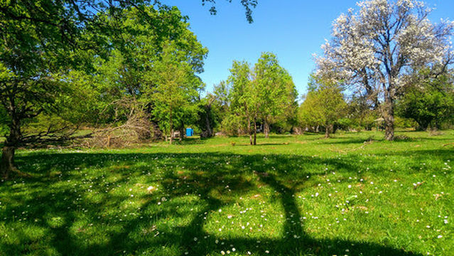 Church of Holy Salvation - Trpejcko Pole