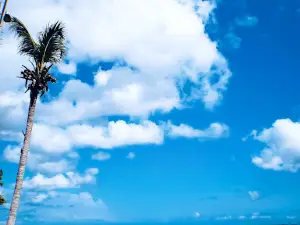 Sunset Beach Lookout