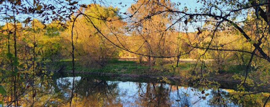 Canal Lands Park