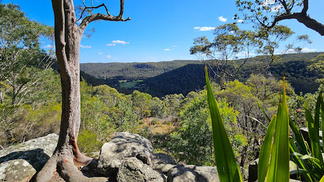 Glenworth Valley Wilderness Adventures