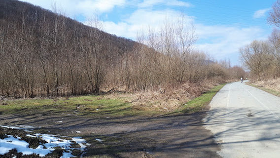 Veľký Šariš