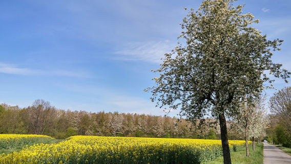Angelsportverein "Glück Auf" e.V. Lengede