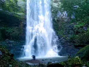 Cascata Alto Feliz