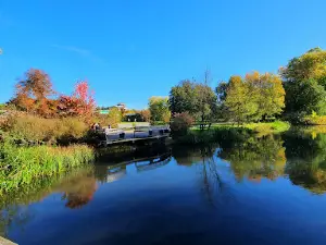 Kur Park