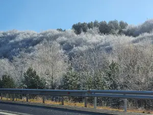 Religious Forest
