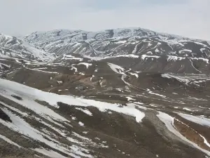 Çaldıran Hayvan Pazarı