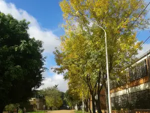 Plaza Manuel Belgrano