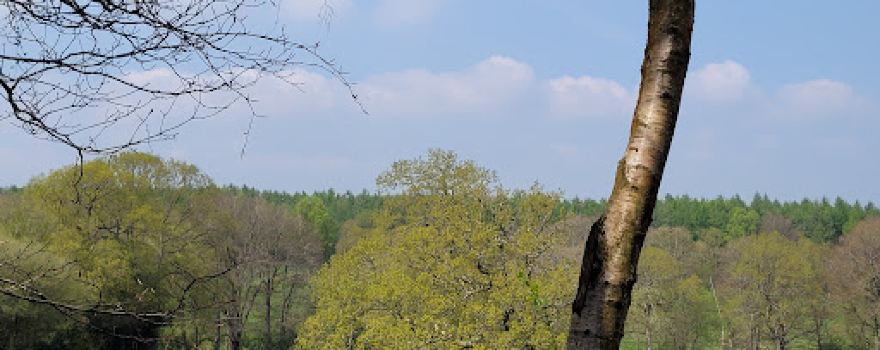 Hundred Acre Wood