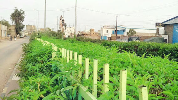 Park Cultural Center