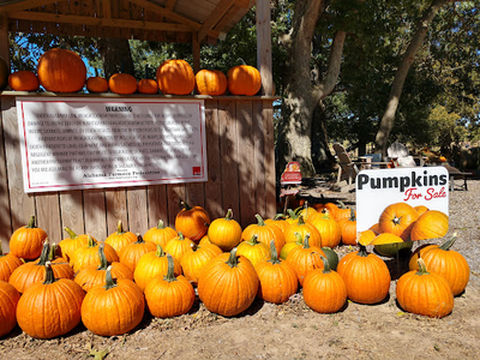Cornutt Farms