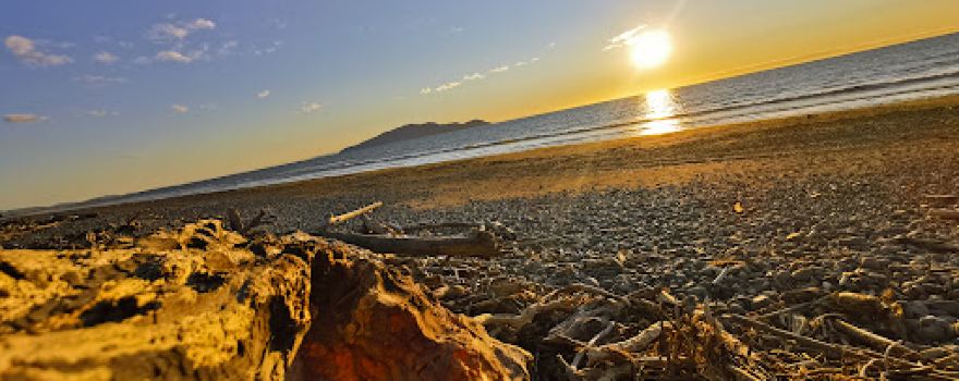 Te Horo Beach