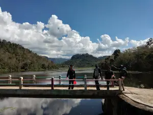 Bendungan Sungai Dulu Taman Nasional Kerinci Seblat